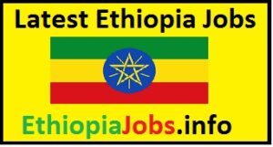 Today Ethio Jobs