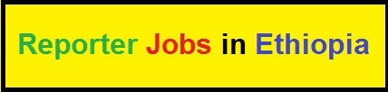 Reporter Job Vacancy